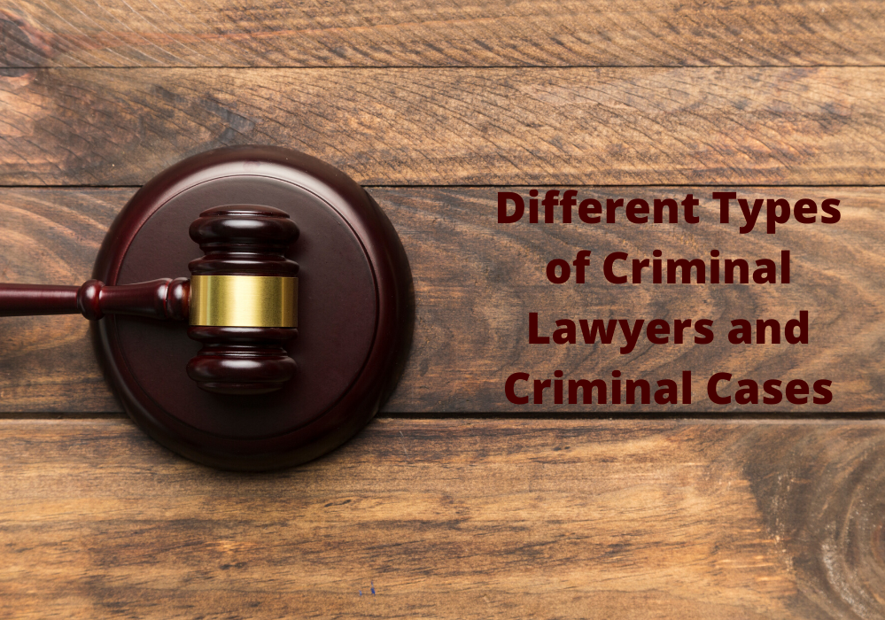 Different Types Of Criminal Lawyers And Criminal Cases – Piczasso.com