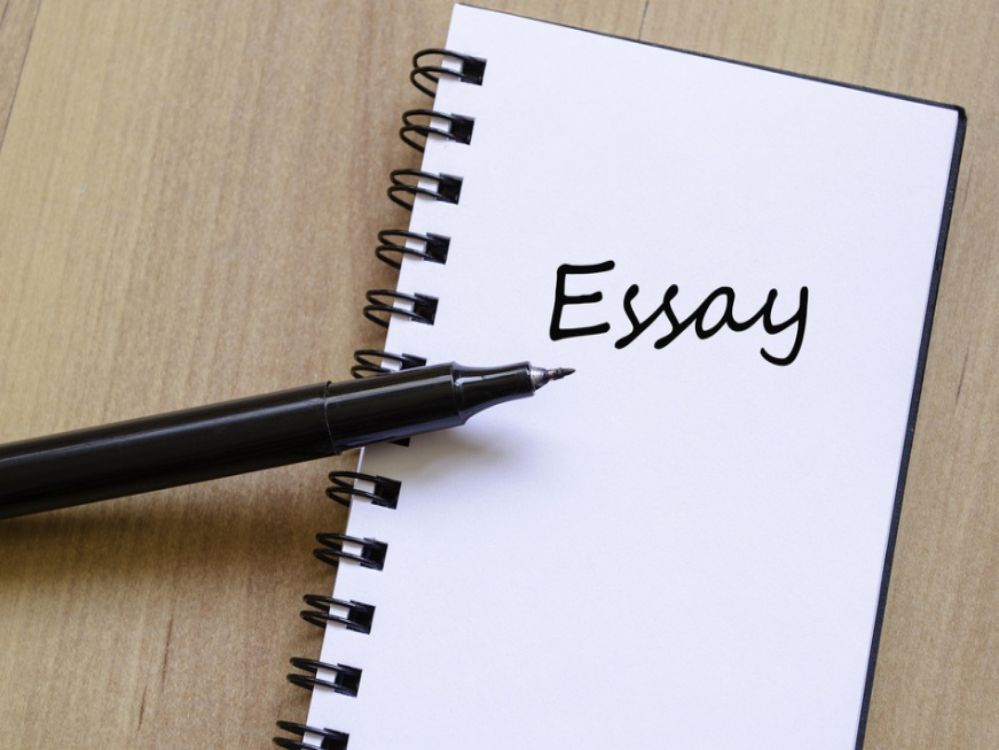 Essay Writing Skills In English