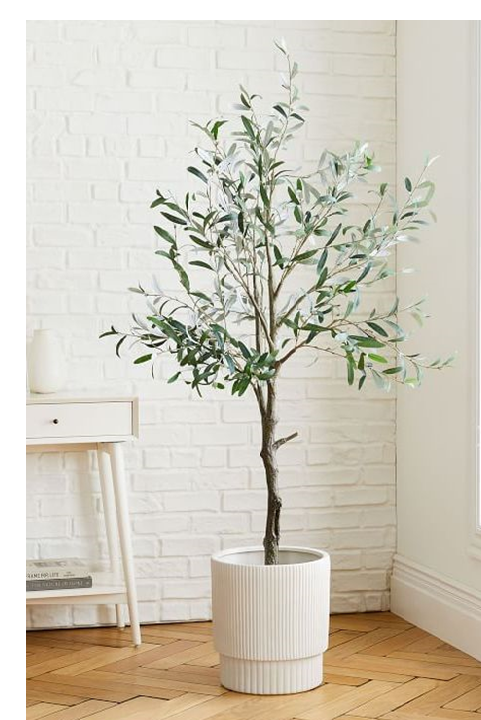 Try a different tree inside, why not an Olive Tree?