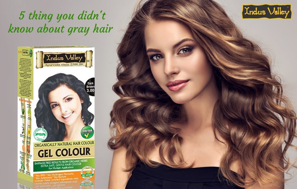 How to prepare and apply the Ayurvedic hair colour on your hair ...