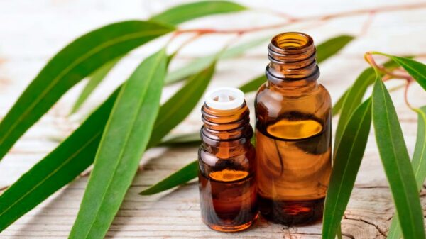 9 Ayurvedic Herbs Essential for Back and Joint Pain Oil 
